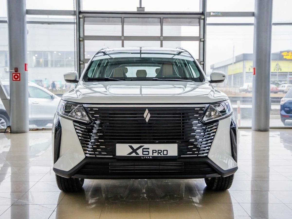 Внешний вид <br>LIVAN X6Pro
