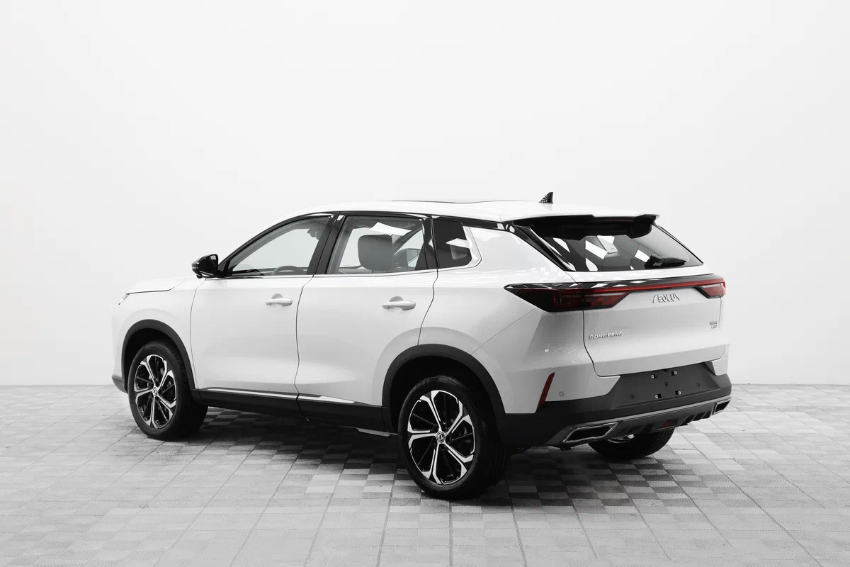 Внешний вид <br>Dongfeng Huge