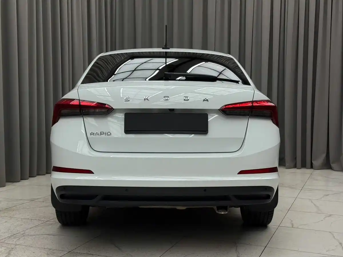Внешний вид <br>Skoda Rapid