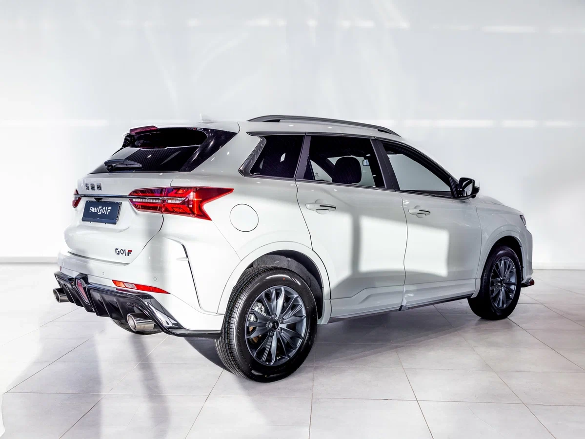 Внешний вид <br>SWM G01F