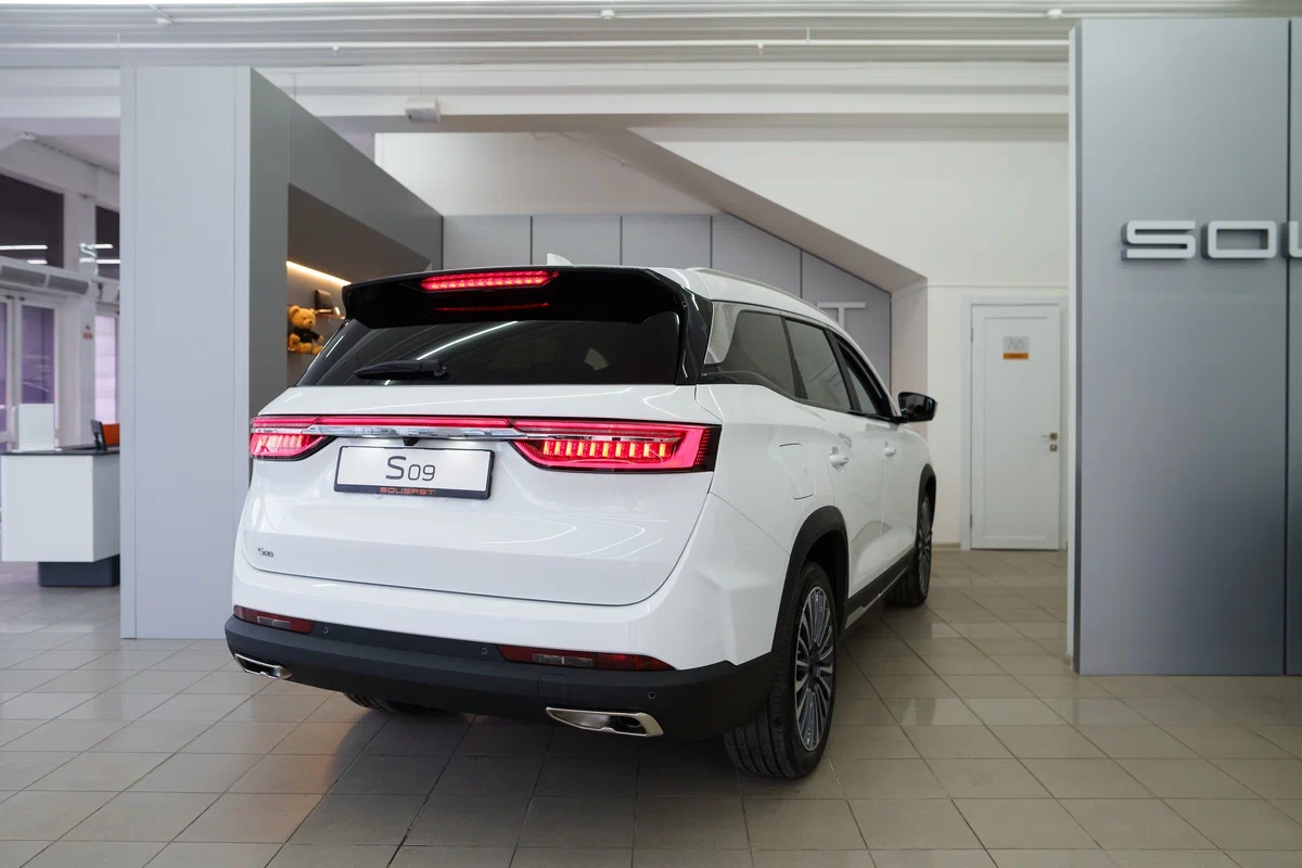 Внешний вид <br>SOUEAST S09