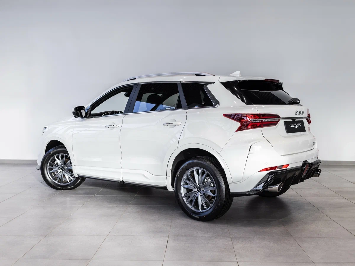 Внешний вид <br>SWM G01F