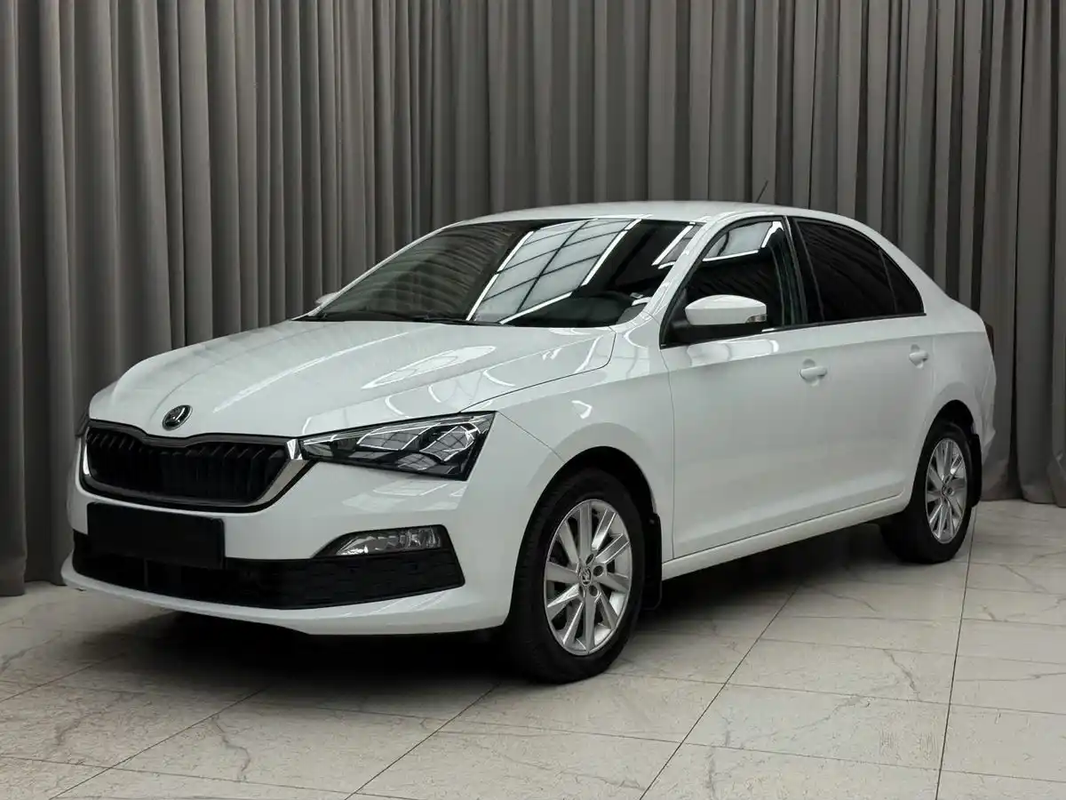 Внешний вид <br>Skoda Rapid