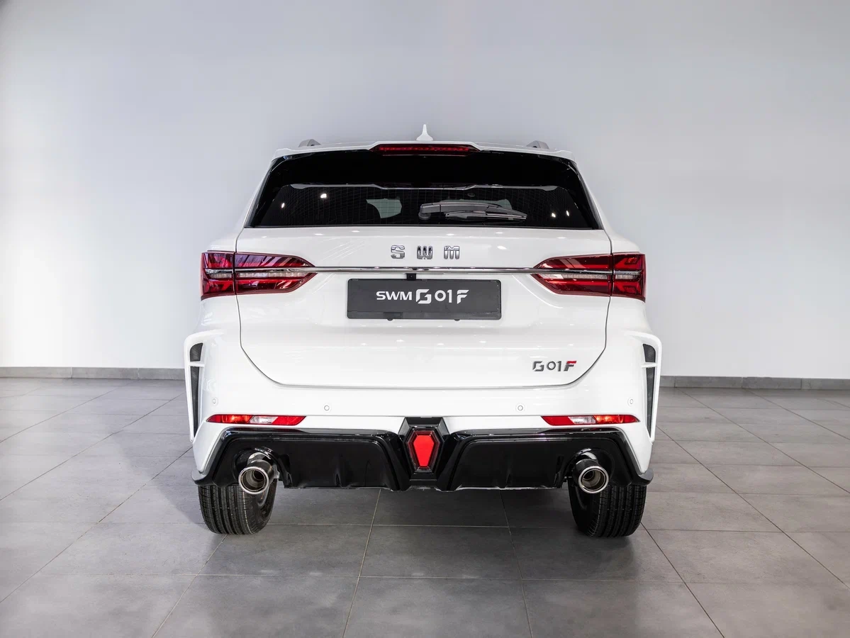 Внешний вид <br>SWM G01F