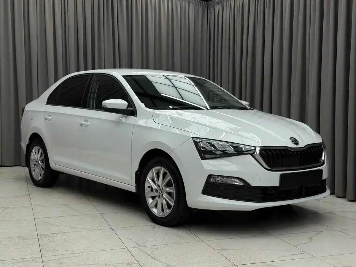 Внешний вид <br>Skoda Rapid