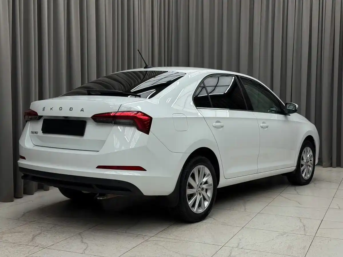 Внешний вид <br>Skoda Rapid