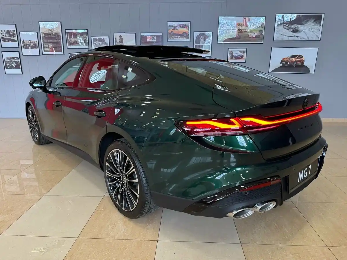 Внешний вид <br>MG 7