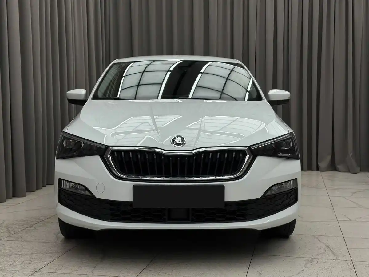 Внешний вид <br>Skoda Rapid
